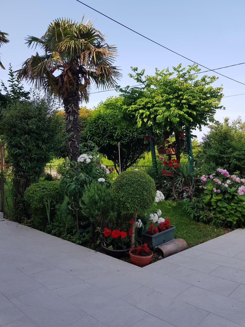 Villa Ivana Labin  Exterior foto